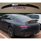 ALERÓN MERCEDES AMG GT 4-Door X290 DESDE NEGRO BRILLO SPOILER TIPO